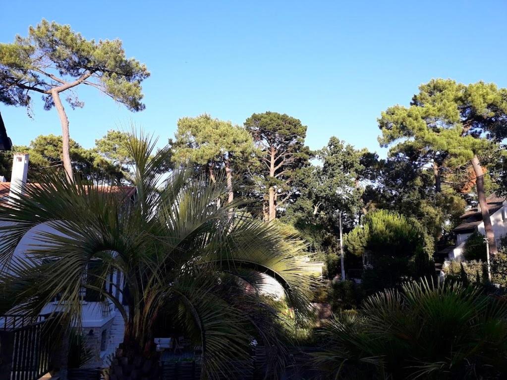 Belle De Dune La Baule エクステリア 写真